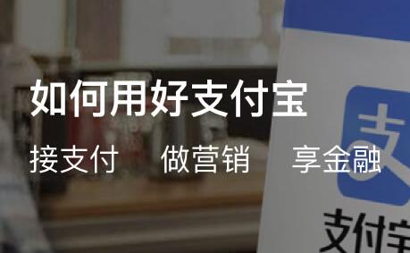 關(guān)于個(gè)人支付寶接口停用的公告信息